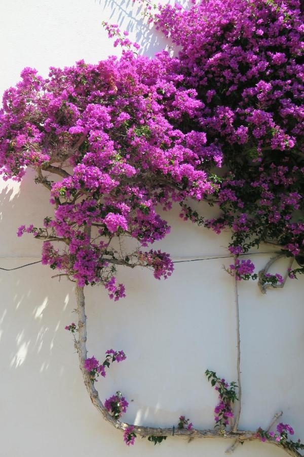 Las Rocas - Casa Diaz Roses Buitenkant foto